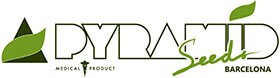 Pyramid Seeds logo